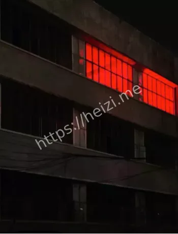 西X大学