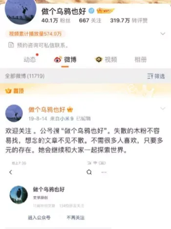 木子美